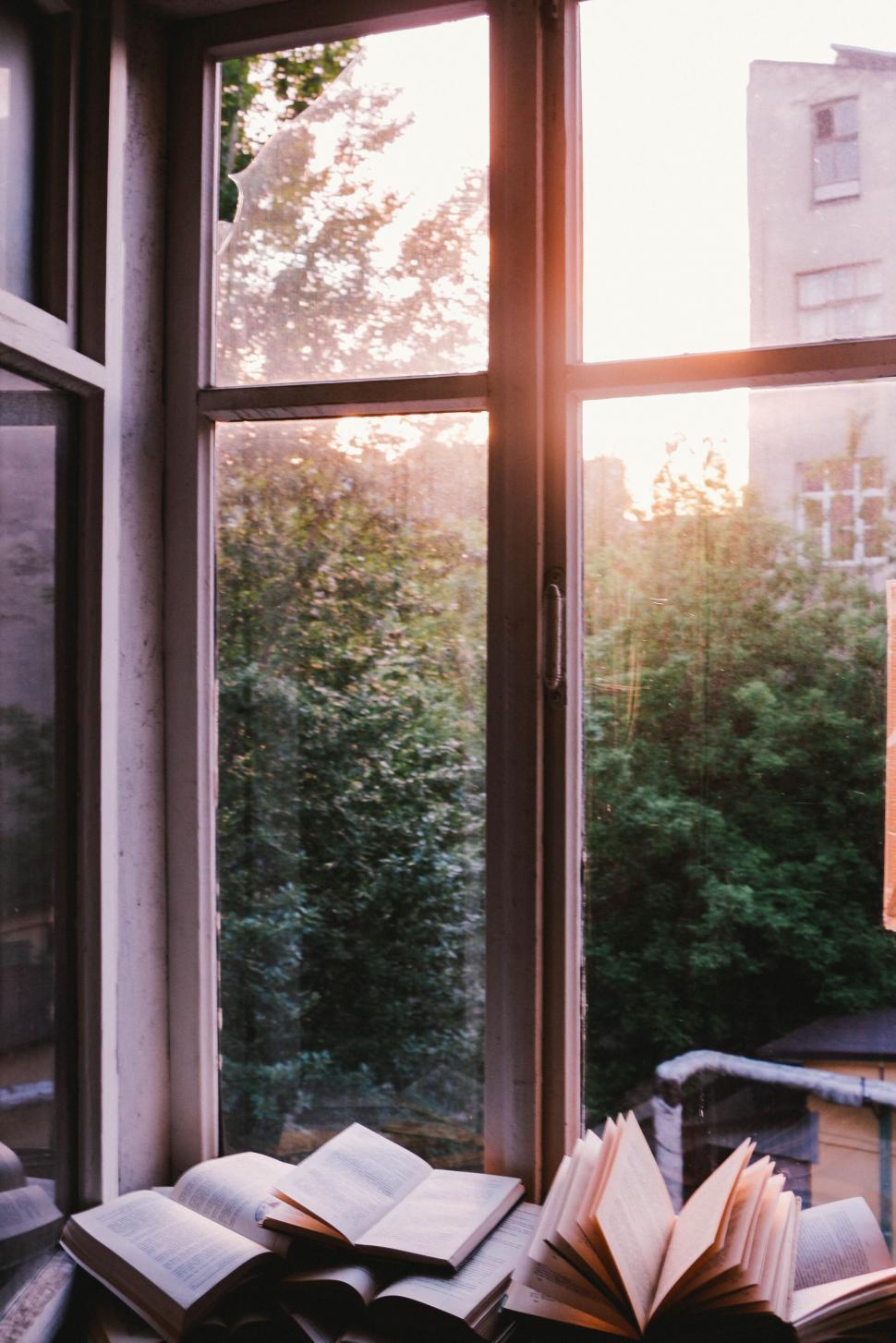 Free Image of Open book on windowsill with outside view through window. 