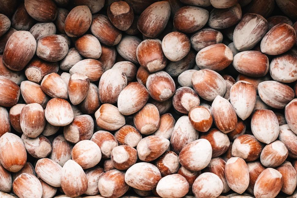 Free Image of Close-up of several hazelnuts with a soft focus 