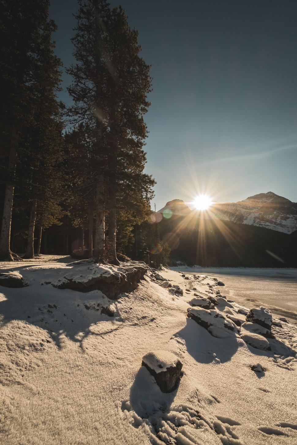 Free Image of Sunrise over snowy landscape with trees near mountains. 