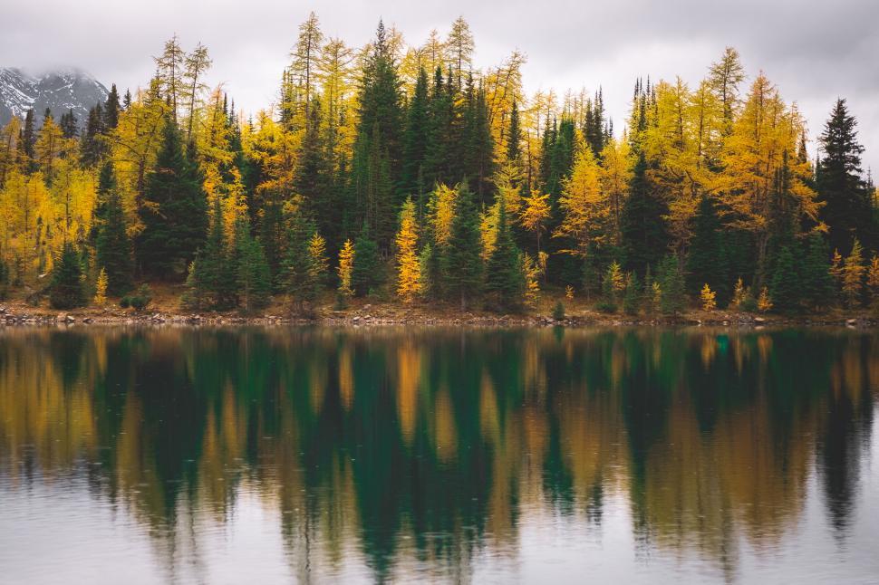 Free Image of Autumn forest reflecting on calm lake under cloudy sky. 