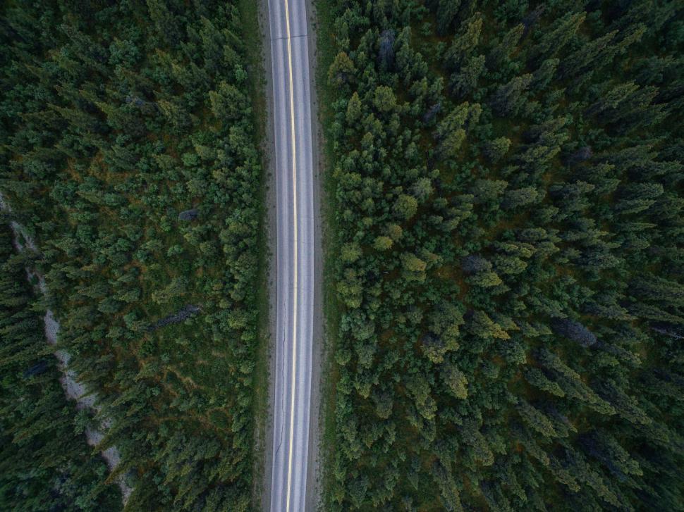 Free Image of Aerial view of road cutting through dense green forest. 