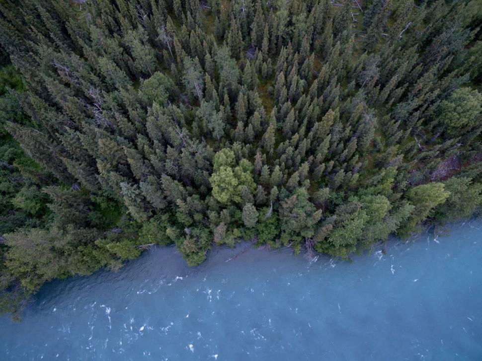 Free Image of Aerial view of dense forest near a wide winding river. 