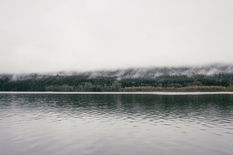 Free Image of Eerie misty lake with calm water and dense forest scene 