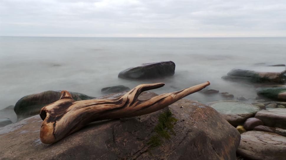 Free Image of Smooth driftwood on large rocks beside a calm shoreline 
