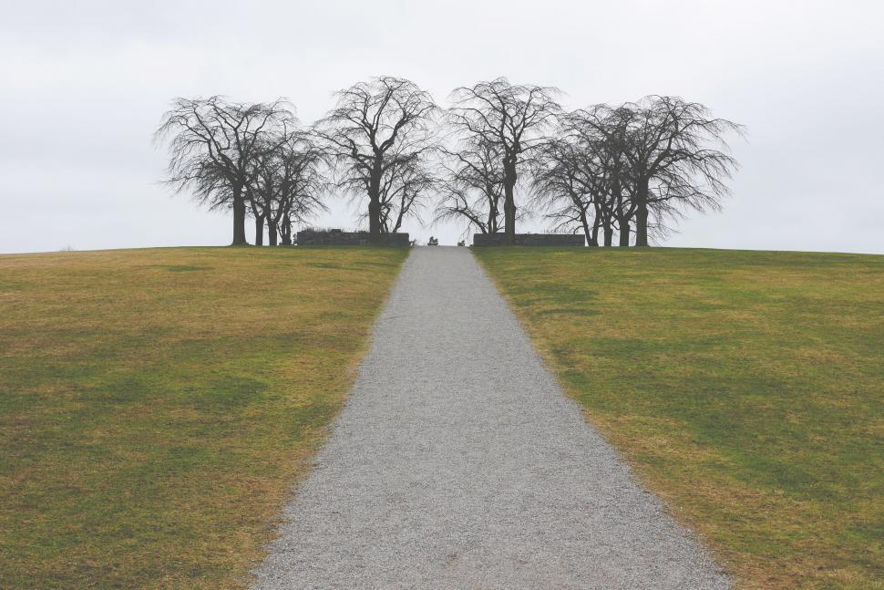 Free Image of Pathway leading to a row of trees on a cloudy hilltop. 