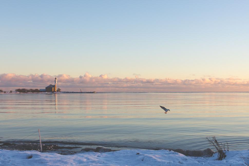 Free Image of Calm seascape with a lone bird flying near the shore 