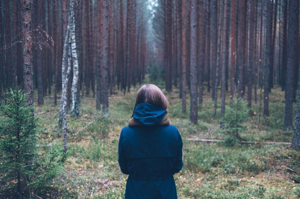 Free Image of A person standing alone in a dense forest of trees 