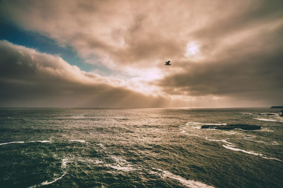 Free Image of Bird flying over ocean at sunset with dramatic clouds 