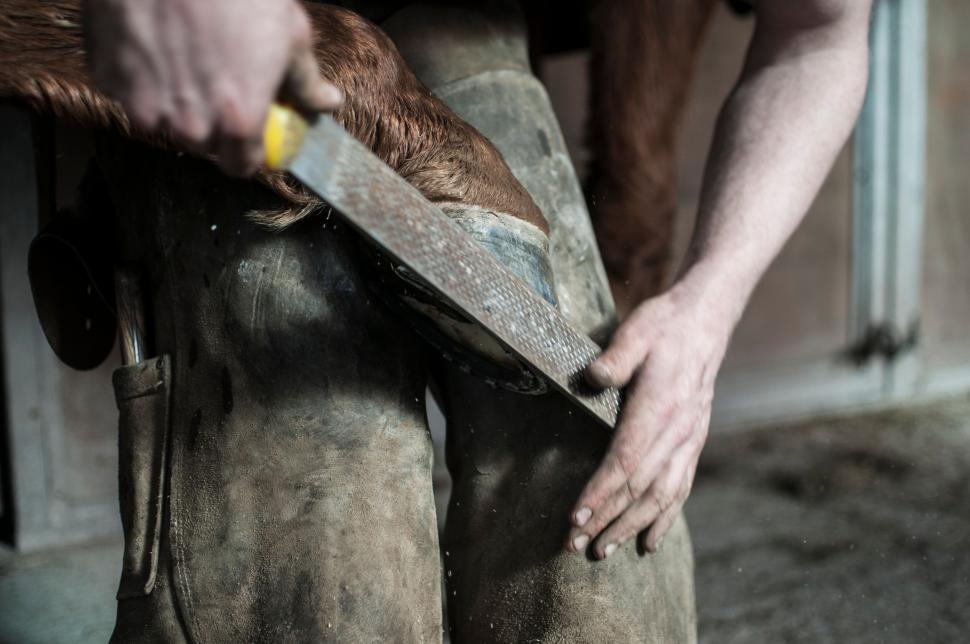 Free Image of Close-up of person working on metal with a rasp tool. 