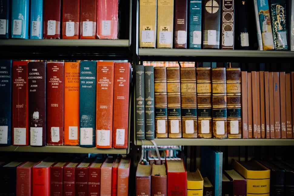 Free Image of Assorted books neatly arranged on a library shelf 