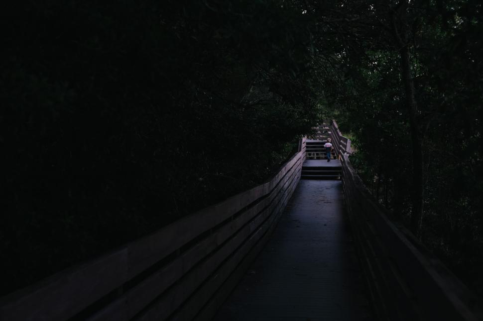 Free Image of Dimly lit pathway through forest with wooden railing. 