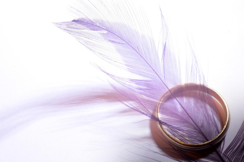 Free Image of Golden ring with a delicate purple feather on a white background. 