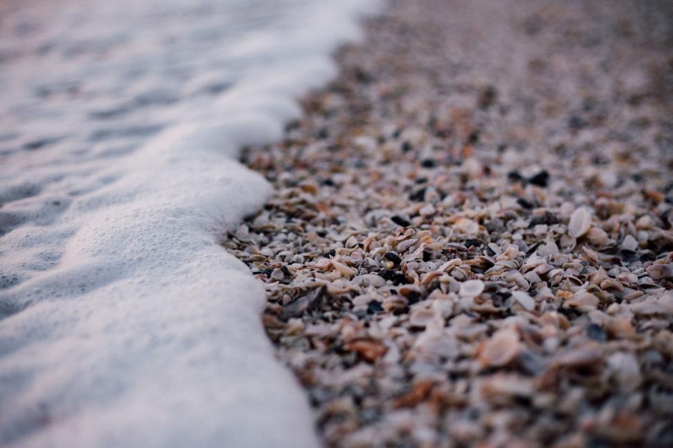 Free Image of Close-up of sea foam on a pebble beach shoreline. 