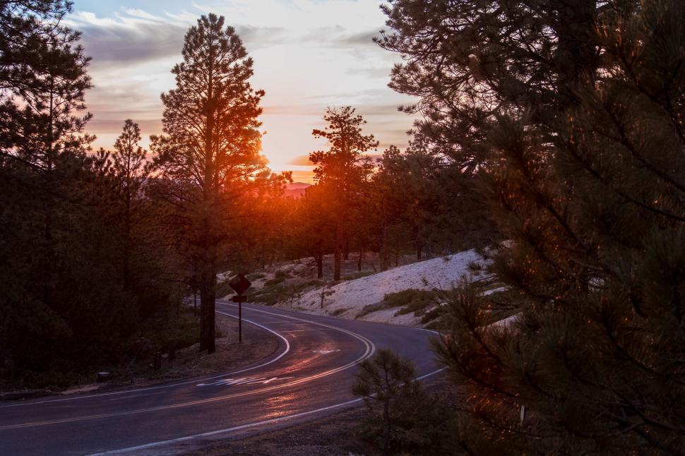 Free Image of Winding road through a forest at dusk with sunset sky. 
