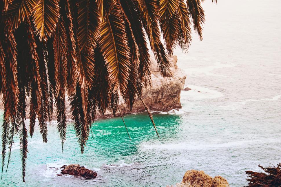 Free Image of Tropical coastal view framed by palm trees and rocks. 