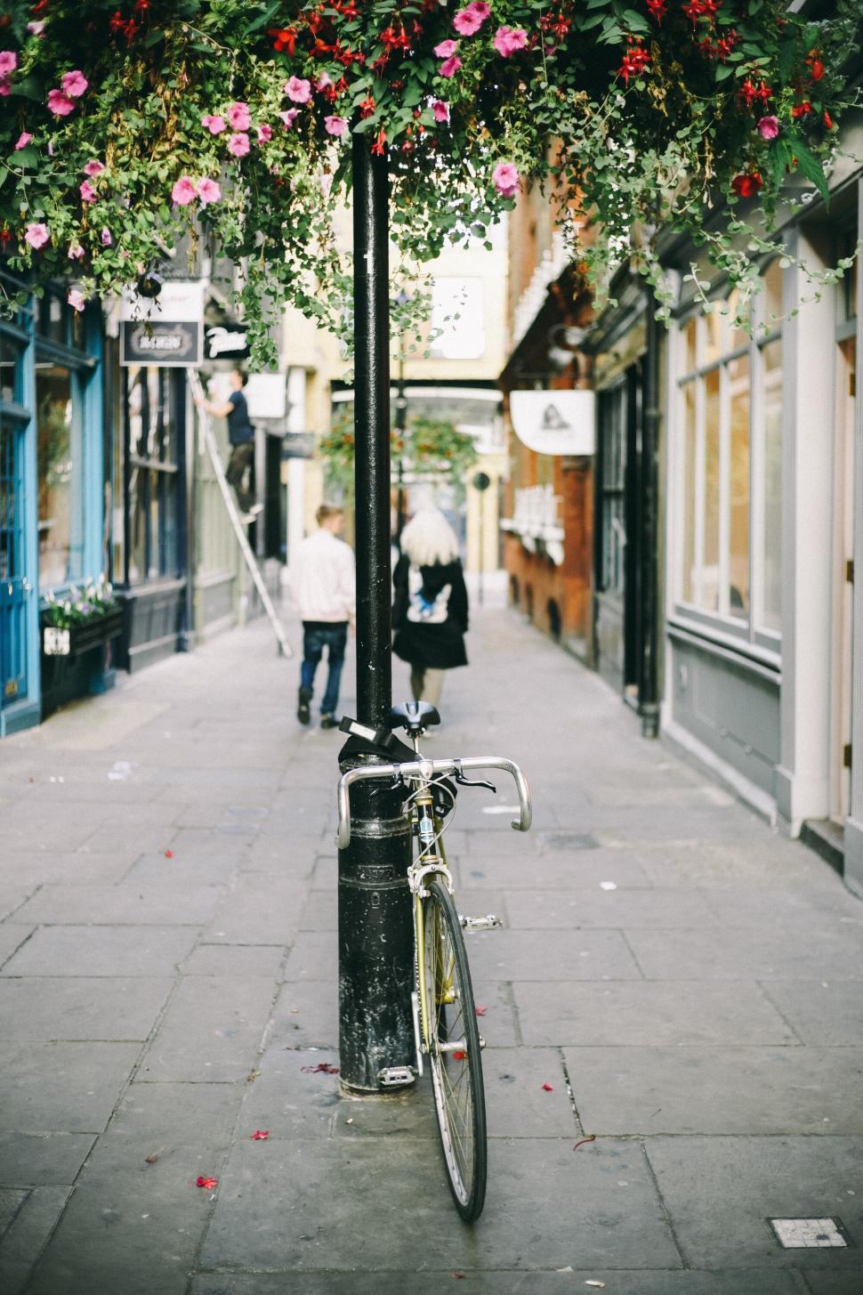 Free Image of Bike locked to post under flowers in narrow alleyway. 