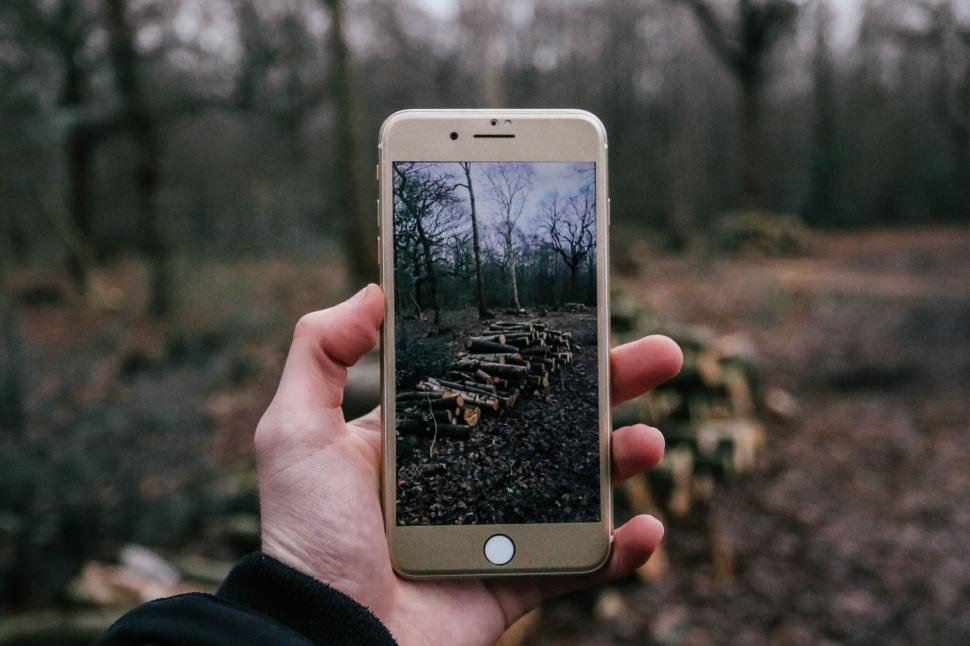 Free Image of Wooden logs captured in a mobile phone screen amidst forest setting. 