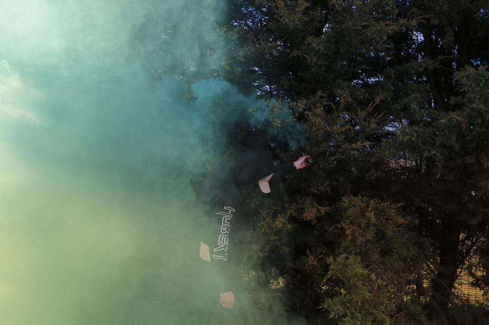 Free Image of Person playing with green smoke bomb in front of dense foliage. 