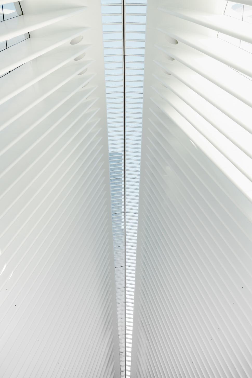 Free Image of Architectural marvel with sleek white interior and natural lighting 