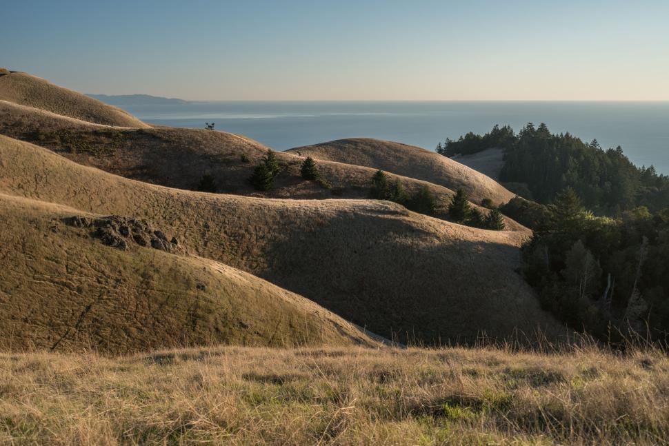 Free Image of Golden rolling hills meeting ocean horizon under clear blue sky 