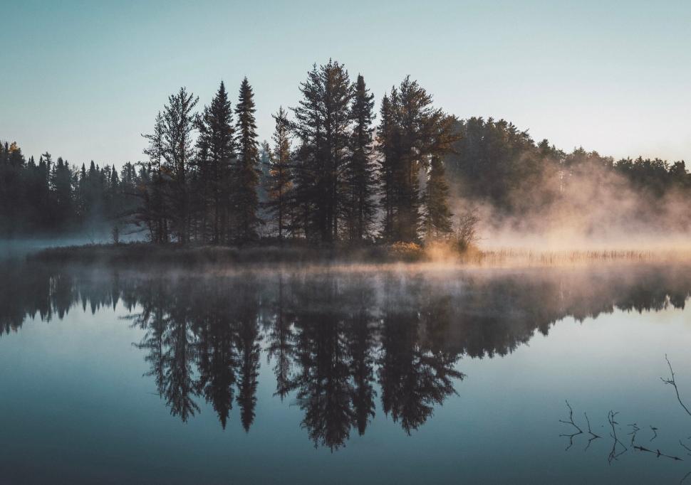 Free Image of Morning mist over a quiet forest lake with calm water reflection 