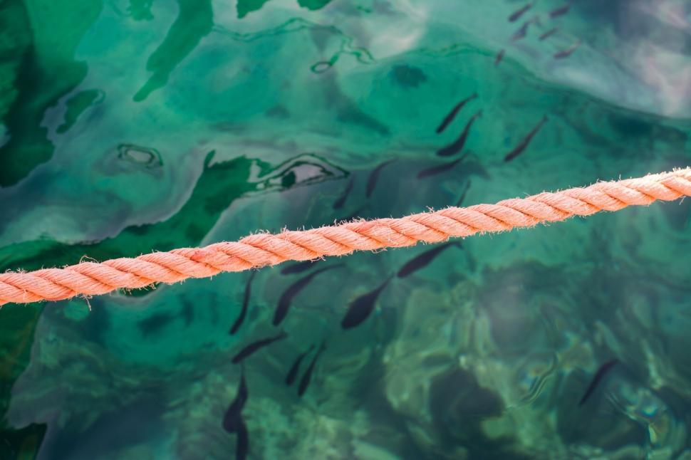 Free Image of Vivid turquoise water with a taut rope and fish shadows beneath it. 