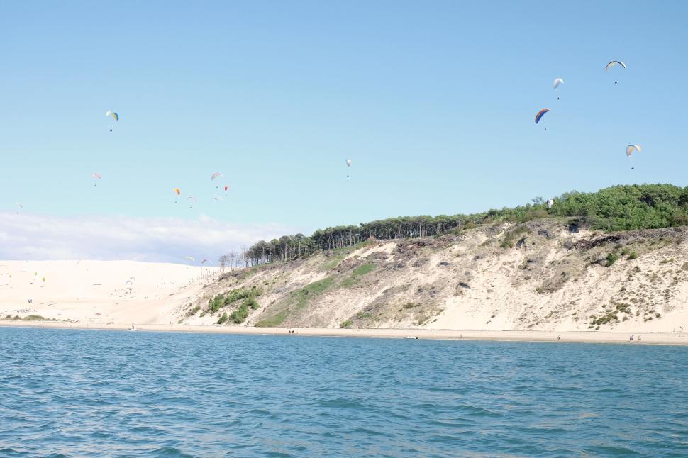 Free Image of Sandy beach with dunes and pine forest across the waterbody. 