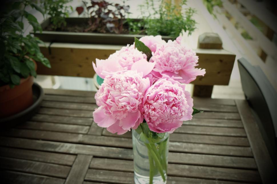 Free Image of Bouquet of pink peonies in a glass vase on an outdoor wooden table 