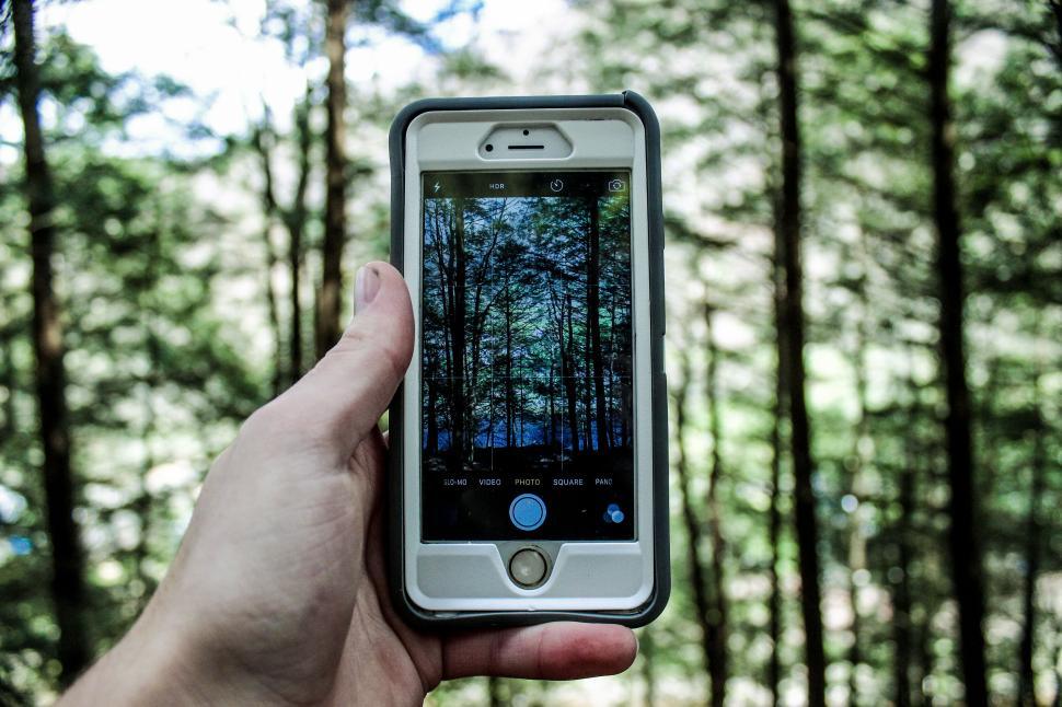 Free Image of Hand holding smartphone capturing forest scenery through camera lens 