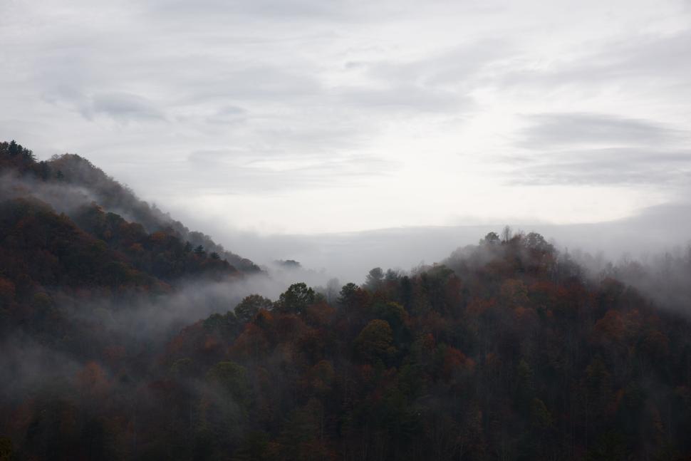 Free Image of Misty hills covered with autumnal foliage under cloudy skies 