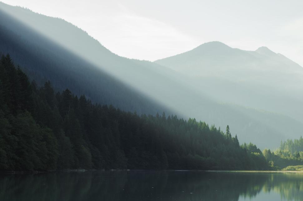 Free Image of Light rays through misty forest by mountain lake at dawn. 