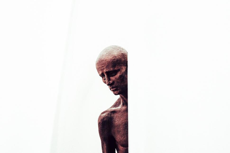 Free Image of Silhouette of a person standing against a bright white background 