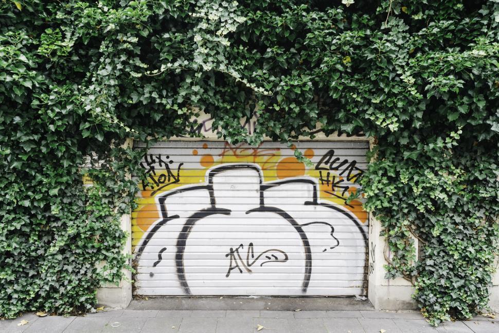 Free Image of Graffiti-covered garage door partially obscured by dense ivy leaves. 