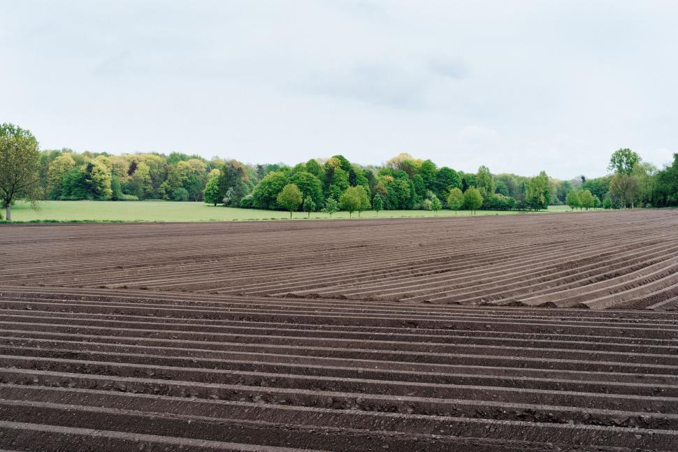 Free Image of Freshly plowed field against a backdrop of forest with a cloudy sky. 
