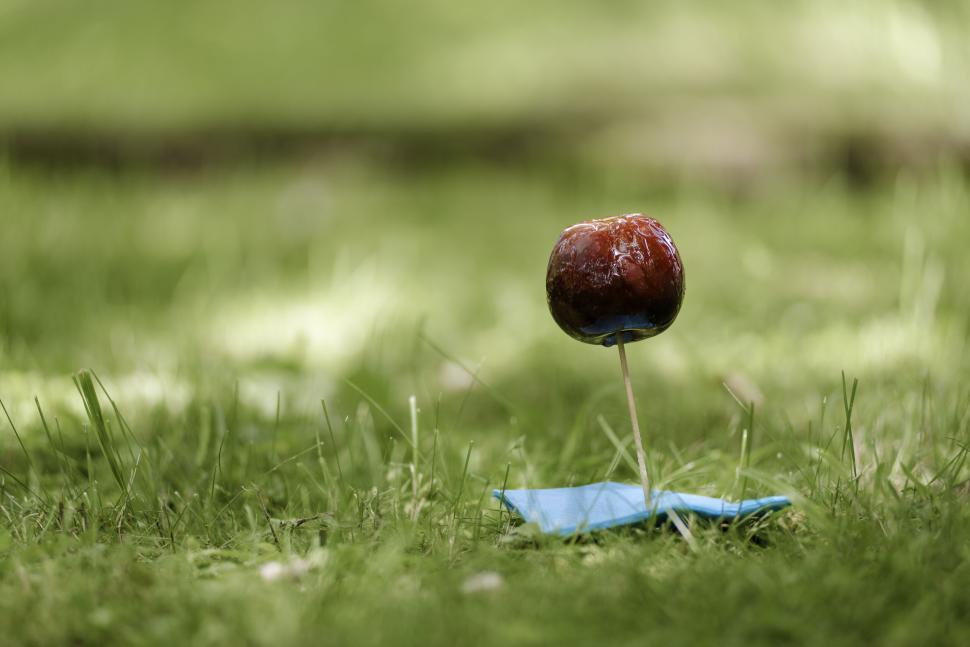 Free Image of Candy apple on a stick standing upright on grassy lawn with soft focus. 