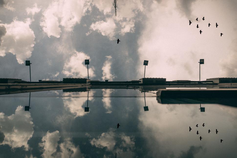 Free Image of Reflection of cityscape in a puddle with birds flying in the sky. 