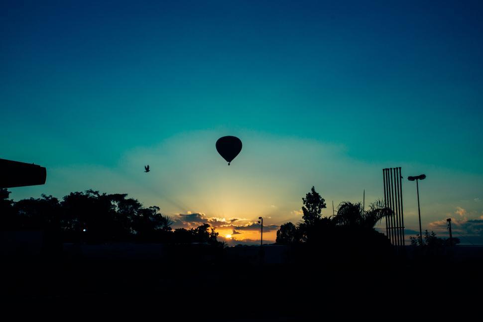 Free Image of Hot air balloon hovering over sunset horizon with bird flying. 