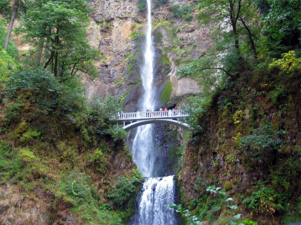 Free Image of Stunning Multnomah Falls waterfall cascading down lush mountainside 