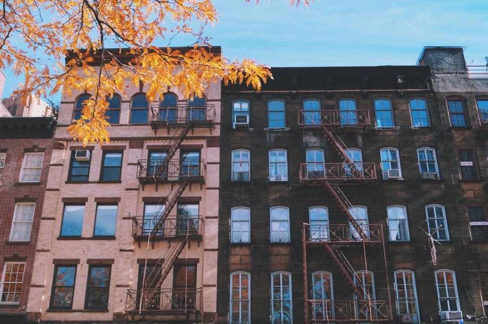 Free Image of Row of old buildings with fire escapes, autumn tree in front 