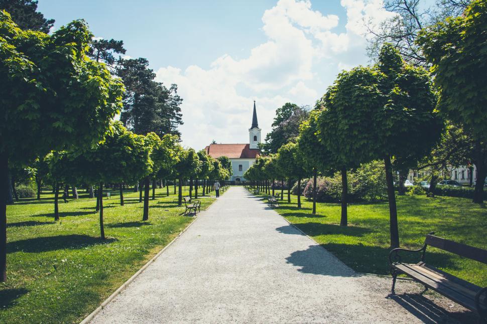 Free Image of Pathway lined with green trees leading to a building with a steeple. 