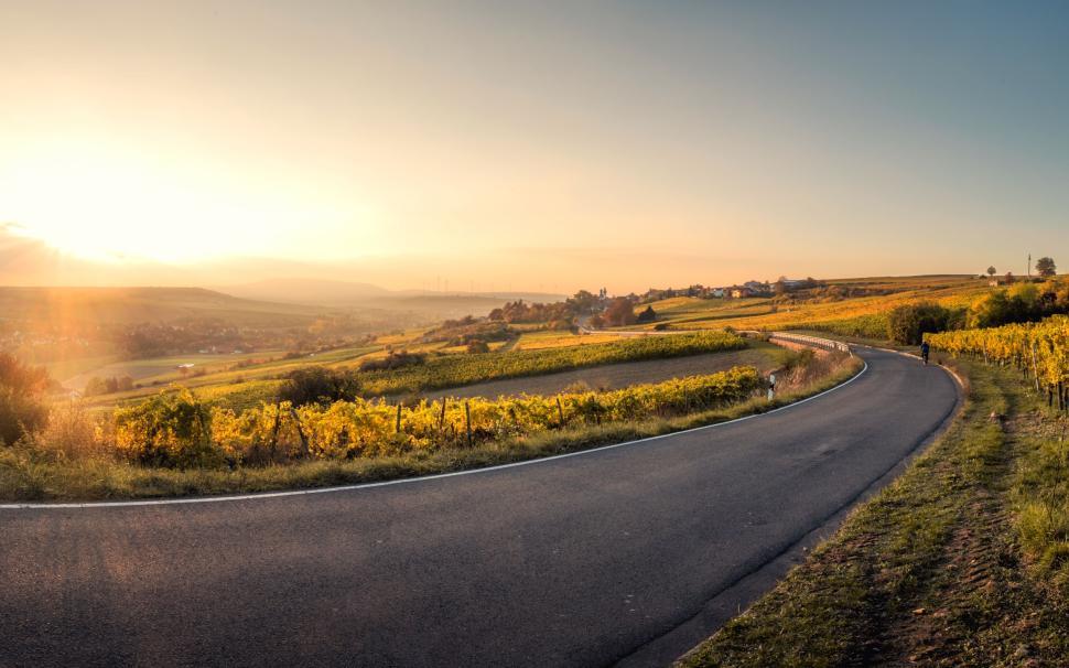 Free Image of Curving road through rolling vineyards at sunset in a rural landscape. 