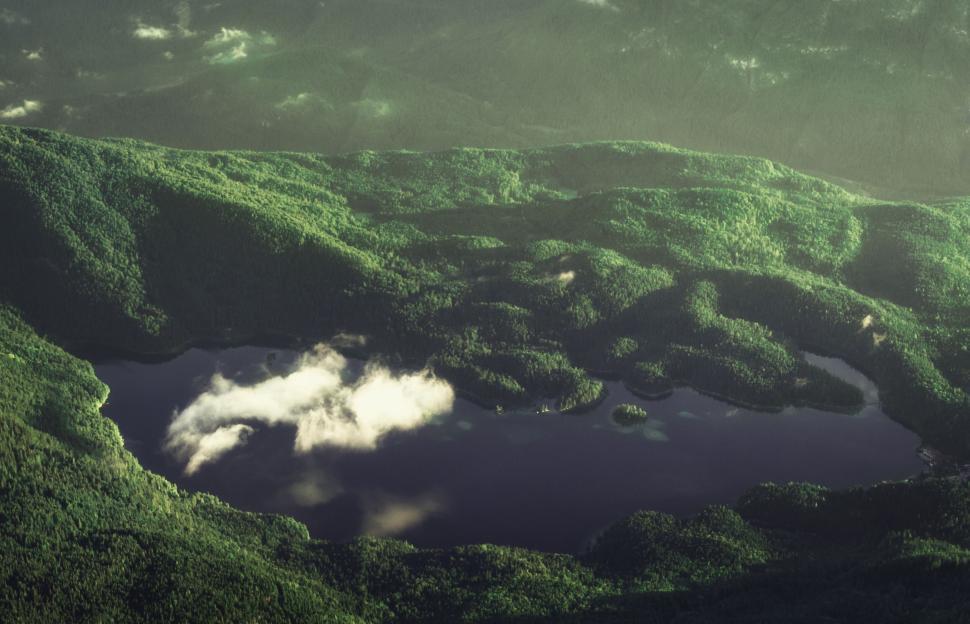 Free Image of Aerial view of a forested lake surrounded by lush greenery, serene 
