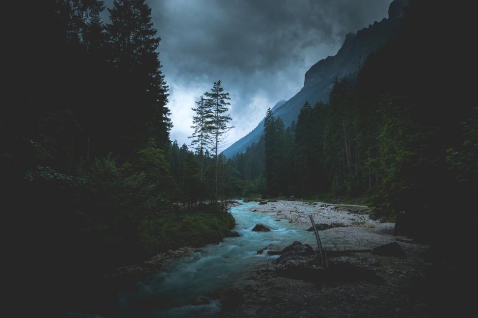 Free Image of Rushing river amidst a dark forest landscape under a cloudy sky. 