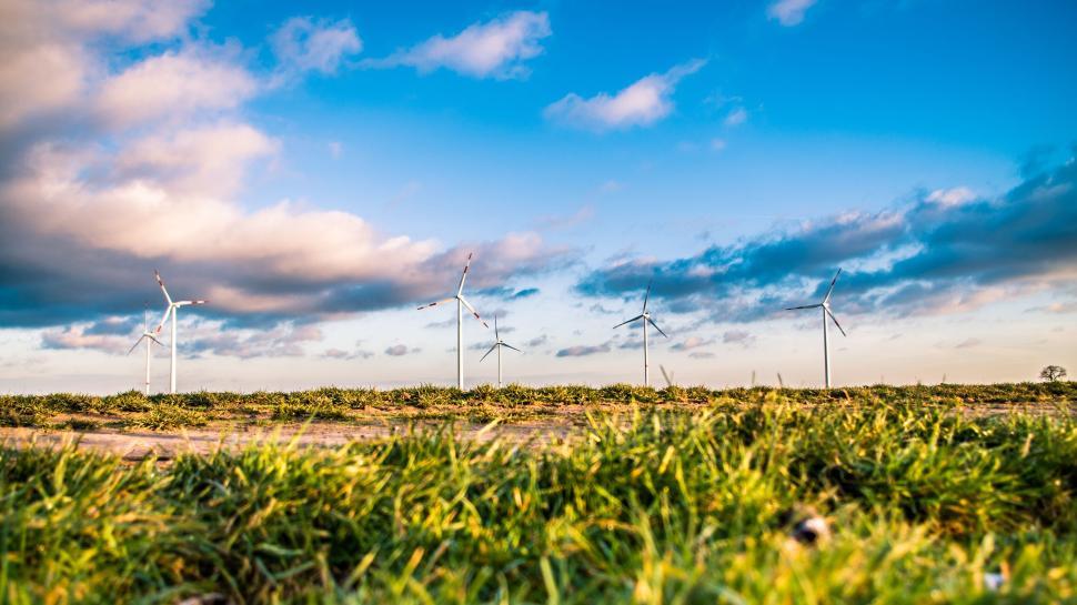 Free Image of Wind turbines under blue sky with clouds, seen from grassy meadow 