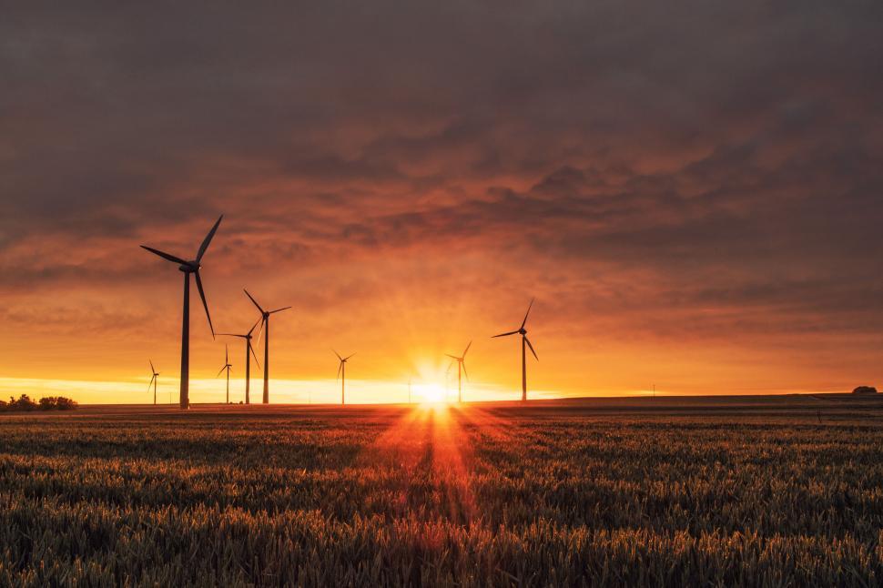 Free Image of Wind turbines at sunset with golden sun flares in the background 