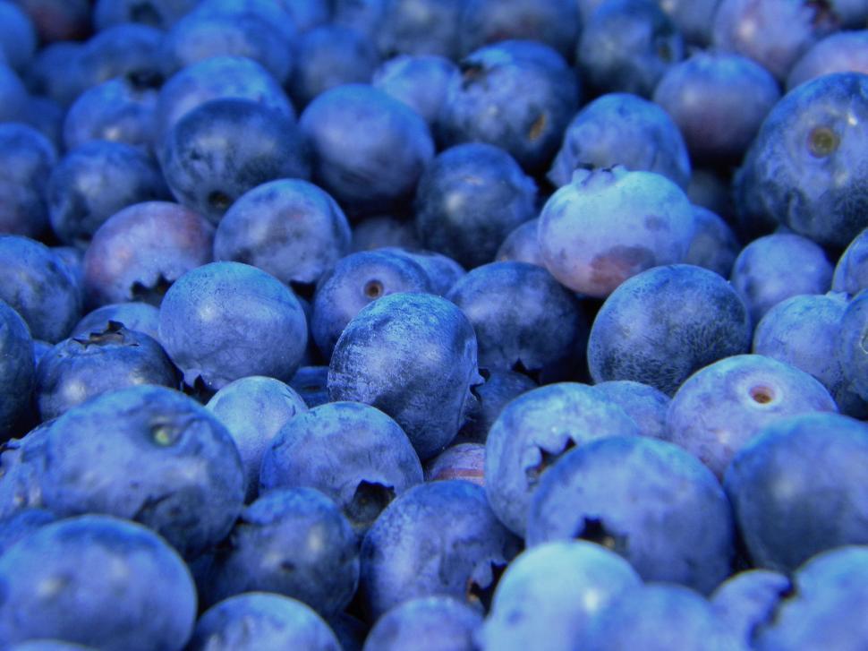 Free Image of Close-up of fresh blueberries, vibrant and detailed, full frame shot 