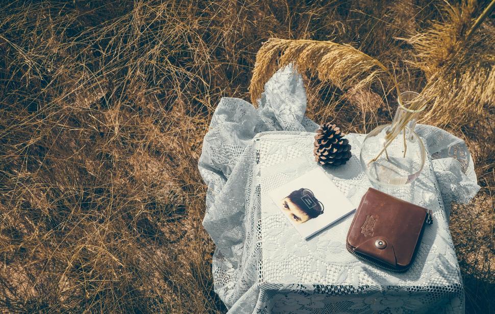 Free Image of Flat lay photography of nature items on a lace-covered table. 