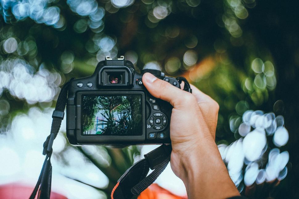 Free Image of Hand holding a DSLR camera focused on nature in the background. 
