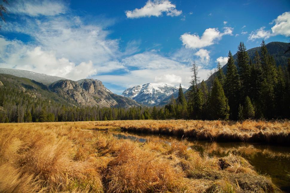 Free Image of Stunning field and snowy mountain view under a bright blue sky 