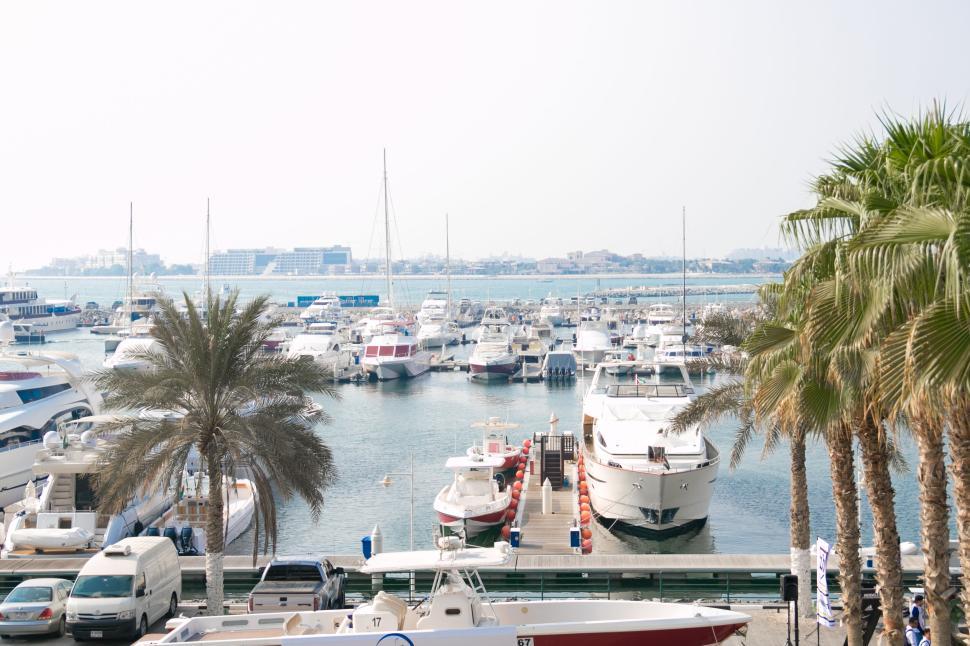 Free Image of Yachts and boats anchored in a vibrant, bustling marina on a sunny day. 